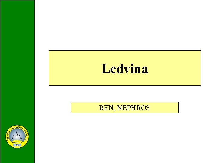 Ledvina REN, NEPHROS 