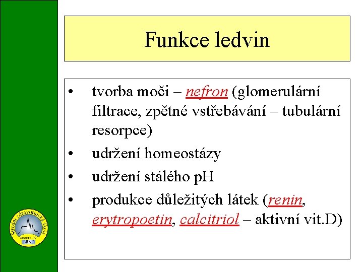 Funkce ledvin • • tvorba moči – nefron (glomerulární filtrace, zpětné vstřebávání – tubulární