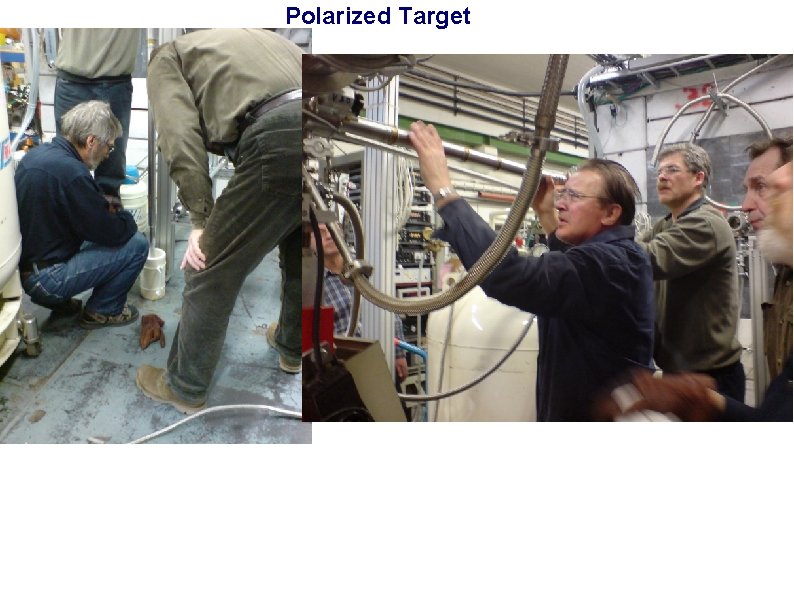 Polarized Target 