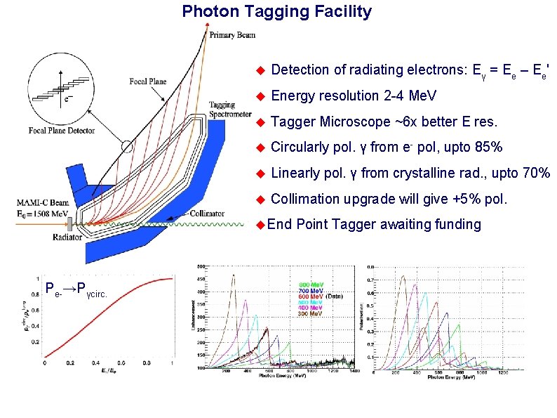 Photon Tagging Facility Detection of radiating electrons: Eγ = Ee – Ee' Energy resolution