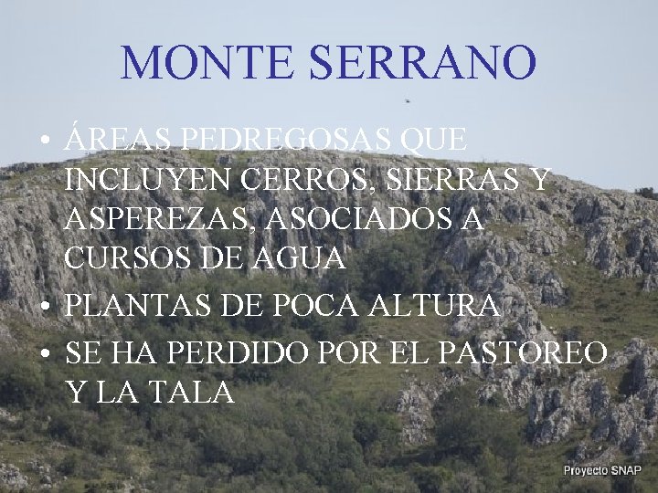 MONTE SERRANO • ÁREAS PEDREGOSAS QUE INCLUYEN CERROS, SIERRAS Y ASPEREZAS, ASOCIADOS A CURSOS