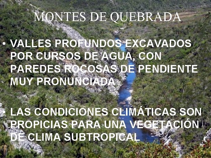 MONTES DE QUEBRADA • VALLES PROFUNDOS EXCAVADOS POR CURSOS DE AGUA, CON PAREDES ROCOSAS