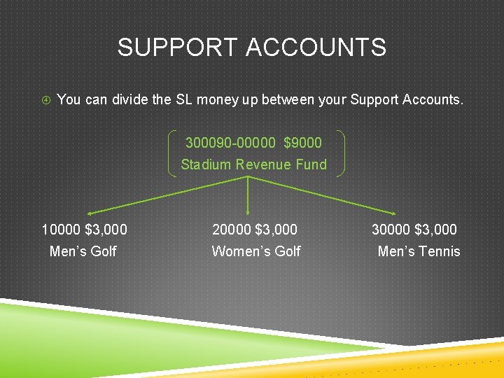 SUPPORT ACCOUNTS You can divide the SL money up between your Support Accounts. 300090