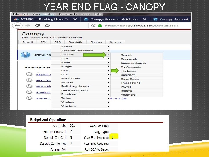 YEAR END FLAG - CANOPY 