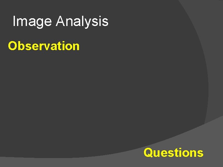 Image Analysis Observation Questions 