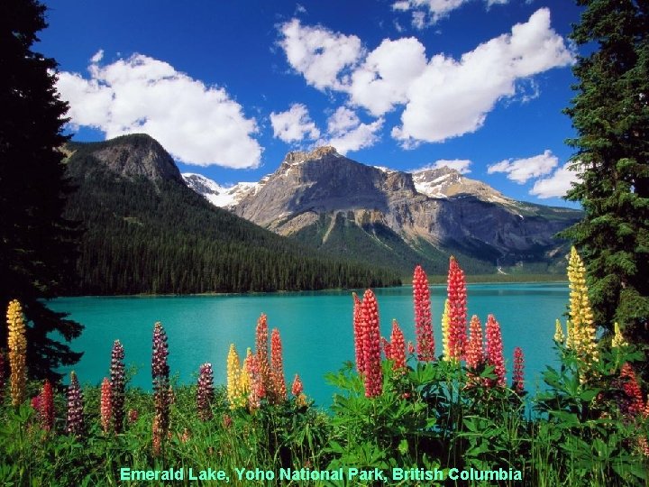 Emerald Lake, Yoho National Park, British Columbia 