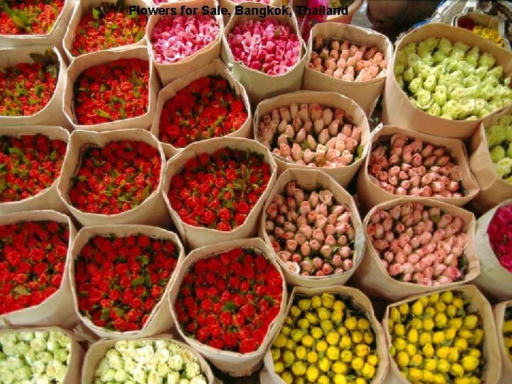 Flowers for Sale, Bangkok, Thailand 