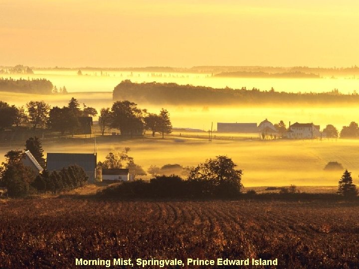 Morning Mist, Springvale, Prince Edward Island 