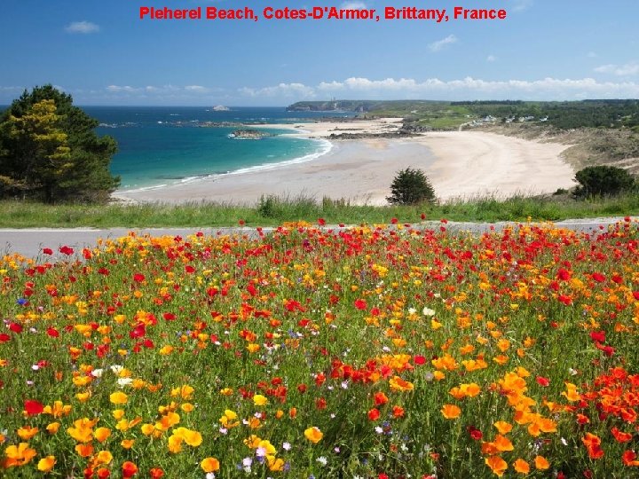 Pleherel Beach, Cotes-D'Armor, Brittany, France 