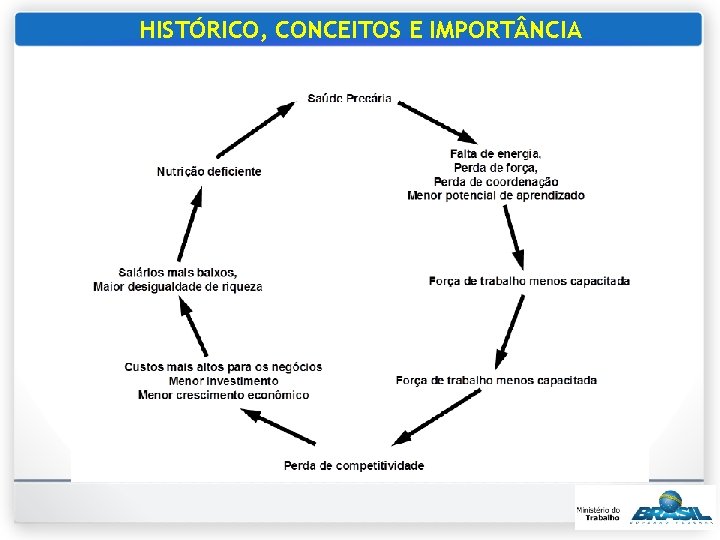 HISTÓRICO, CONCEITOS E IMPORT NCIA 