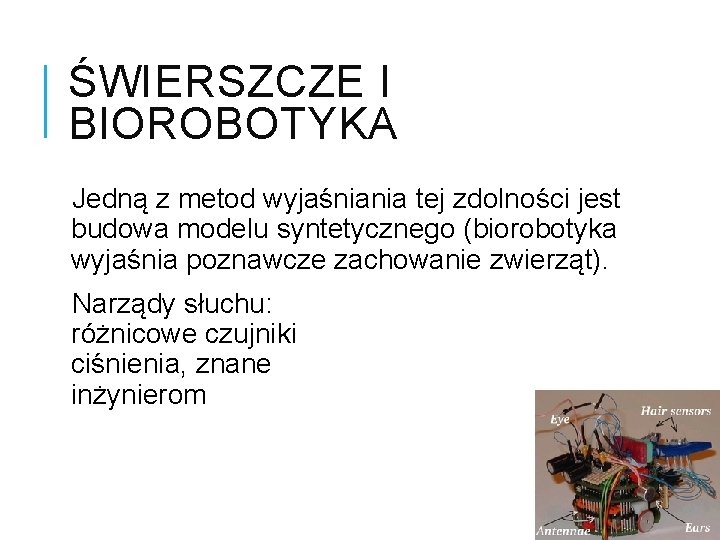 ŚWIERSZCZE I BIOROBOTYKA Jedną z metod wyjaśniania tej zdolności jest budowa modelu syntetycznego (biorobotyka