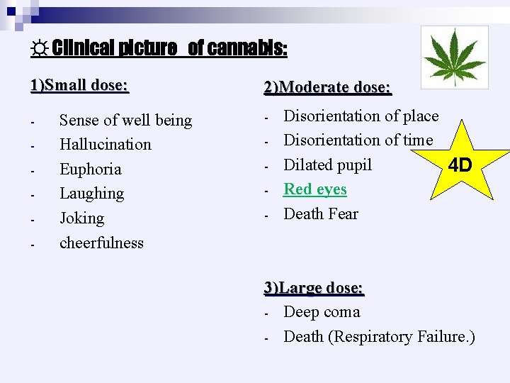 ☼ Clinical picture of cannabis: 1)Small dose: - Sense of well being Hallucination Euphoria