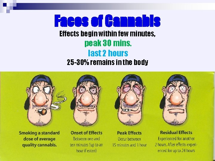 Faces of Cannabis Effects begin within few minutes, peak 30 mins. last 2 hours