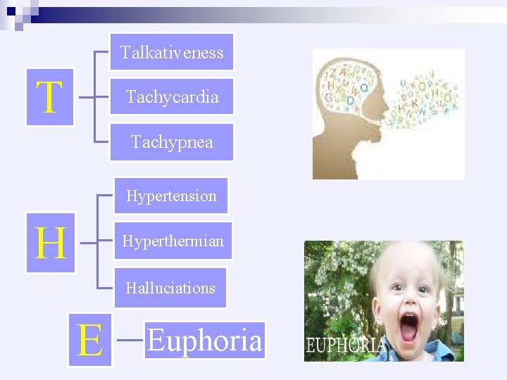 Talkativeness T Tachycardia Tachypnea Hypertension H Hyperthermian Halluciations E Euphoria 