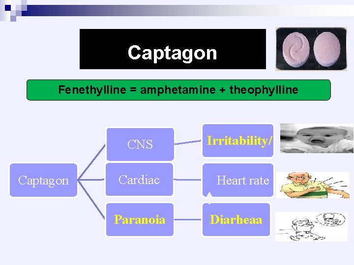 Captagon Fenethylline = amphetamine + theophylline Captagon CNS Irritability/ Cardiac Heart rate Paranoia Diarheaa