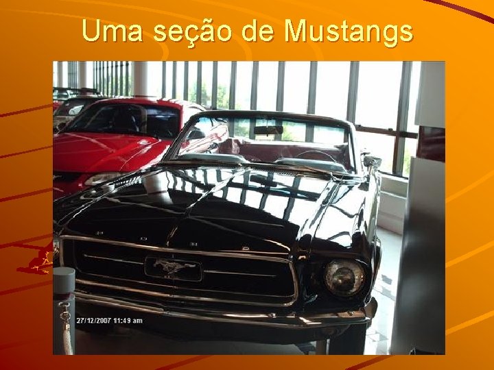 Uma seção de Mustangs 