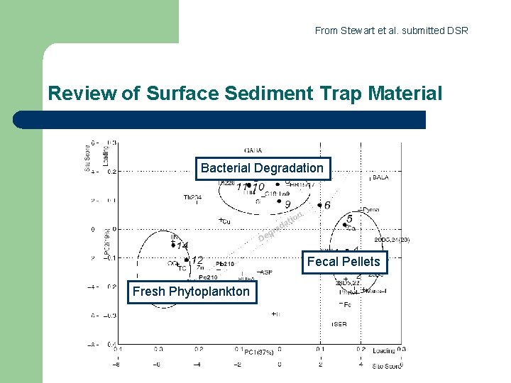 From Stewart et al. submitted DSR Review of Surface Sediment Trap Material Bacterial Degradation