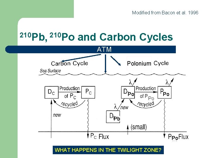 Modified from Bacon et al. 1996 210 Pb, 210 Po and Carbon Cycles ATM