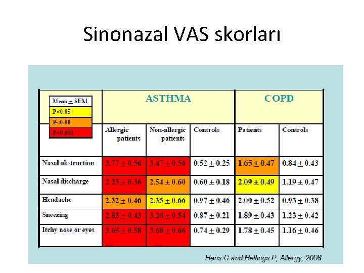 Sinonazal VAS skorları 