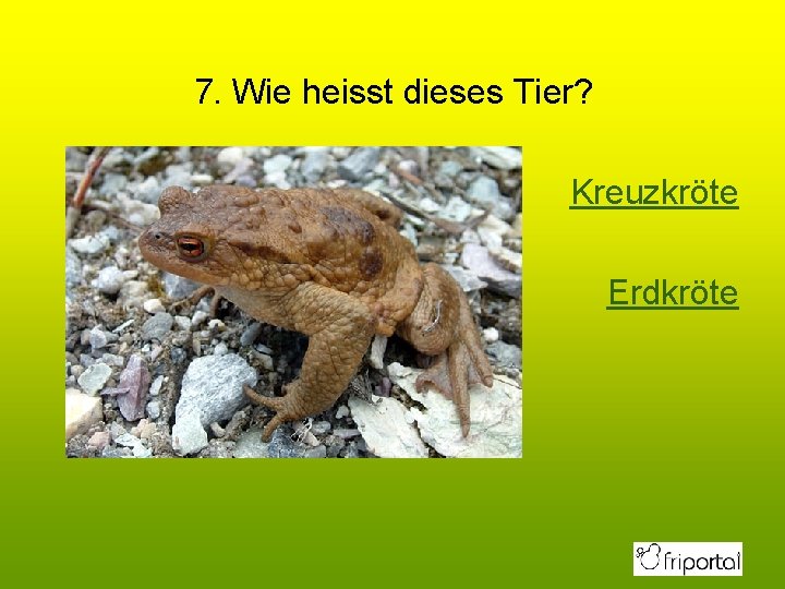 7. Wie heisst dieses Tier? Kreuzkröte Erdkröte 