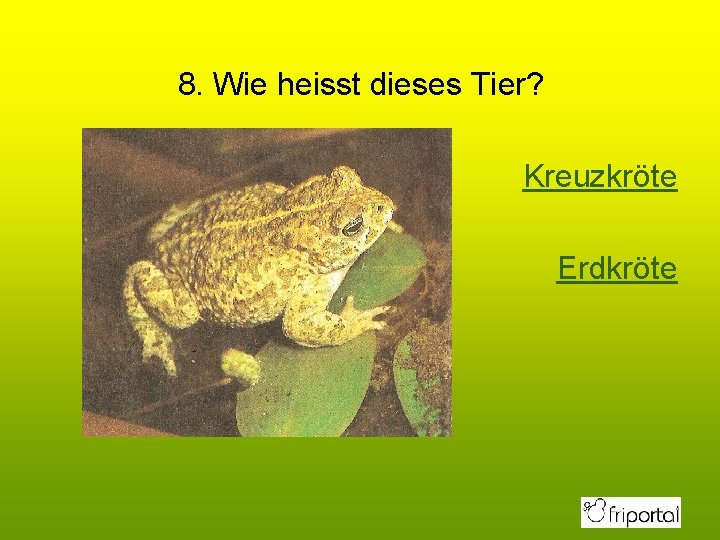 8. Wie heisst dieses Tier? Kreuzkröte Erdkröte 