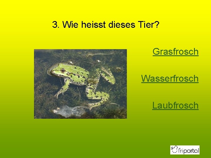 3. Wie heisst dieses Tier? Grasfrosch Wasserfrosch Laubfrosch 