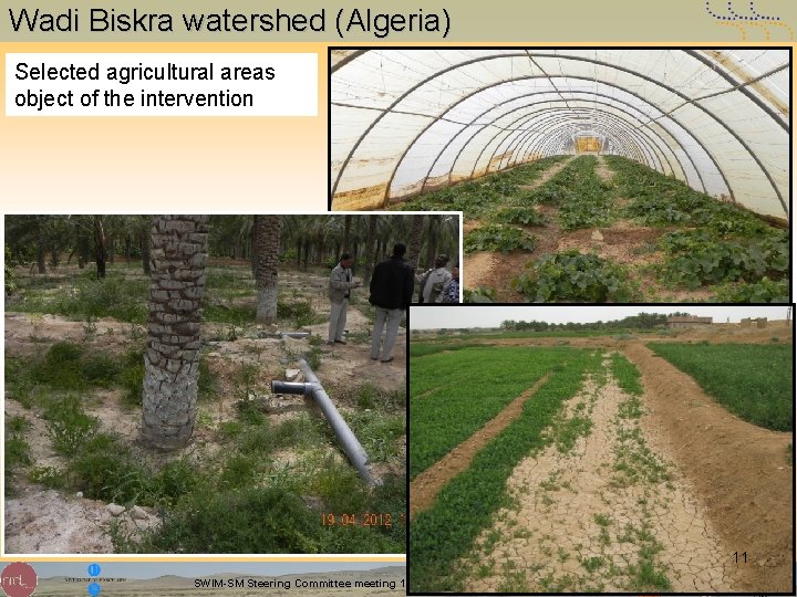 Wadi Biskra watershed (Algeria) Selected agricultural areas object of the intervention 11 SWIM-SM Steering