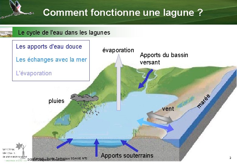 Comment fonctionne une lagune ? Le cycle de l'eau dans les lagunes Les apports