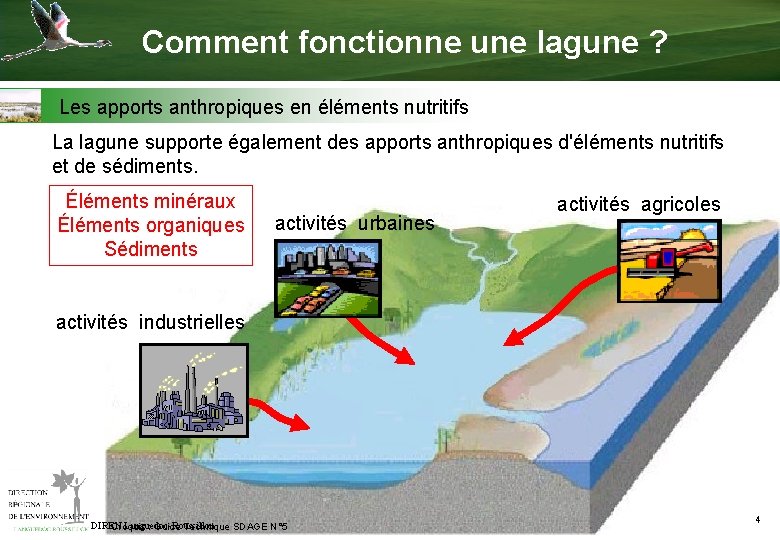 Comment fonctionne une lagune ? Les apports anthropiques en éléments nutritifs La lagune supporte