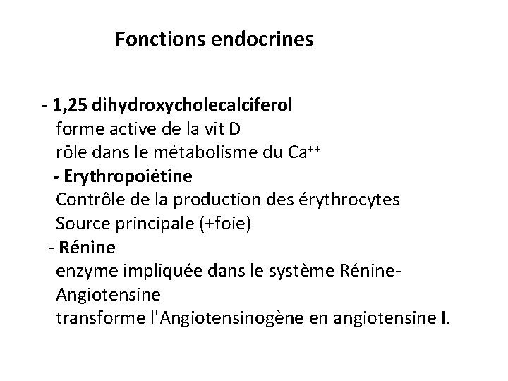 Fonctions endocrines - 1, 25 dihydroxycholecalciferol forme active de la vit D rôle dans