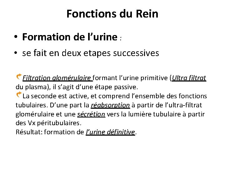 Fonctions du Rein • Formation de l’urine : • se fait en deux etapes