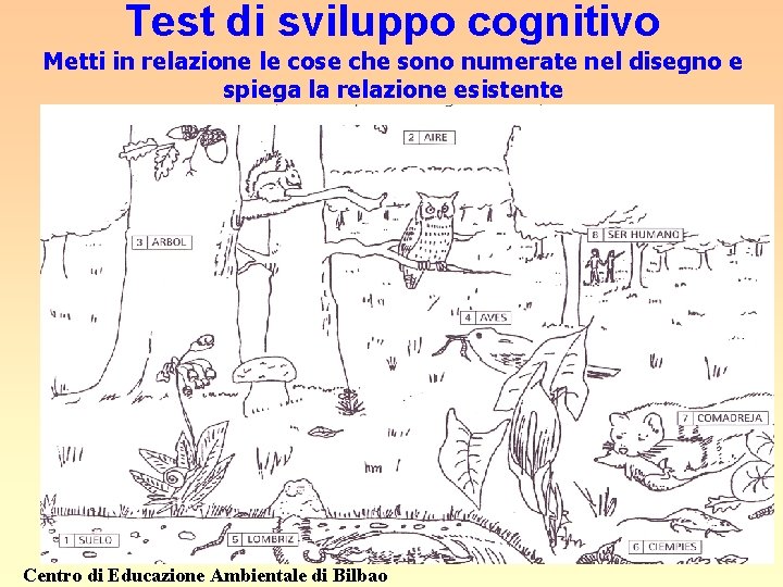 Test di sviluppo cognitivo Metti in relazione le cose che sono numerate nel disegno