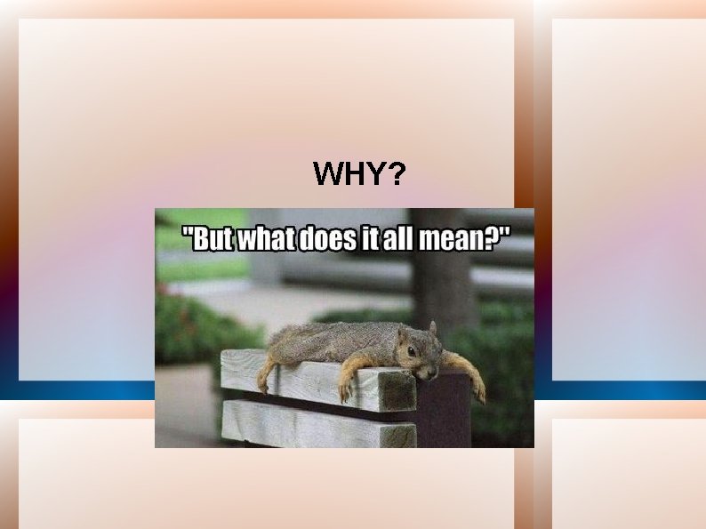 WHY? 