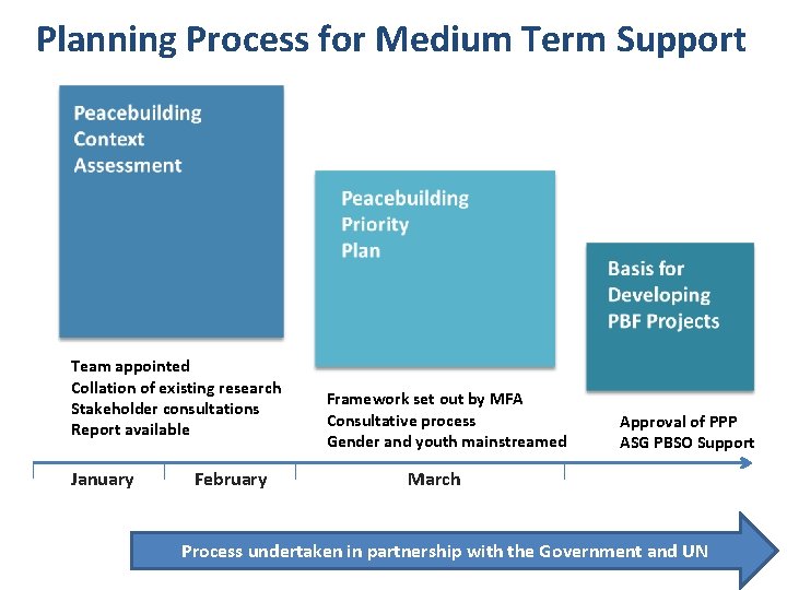 Planning Process for Medium Term Support Team appointed Collation of existing research Stakeholder consultations