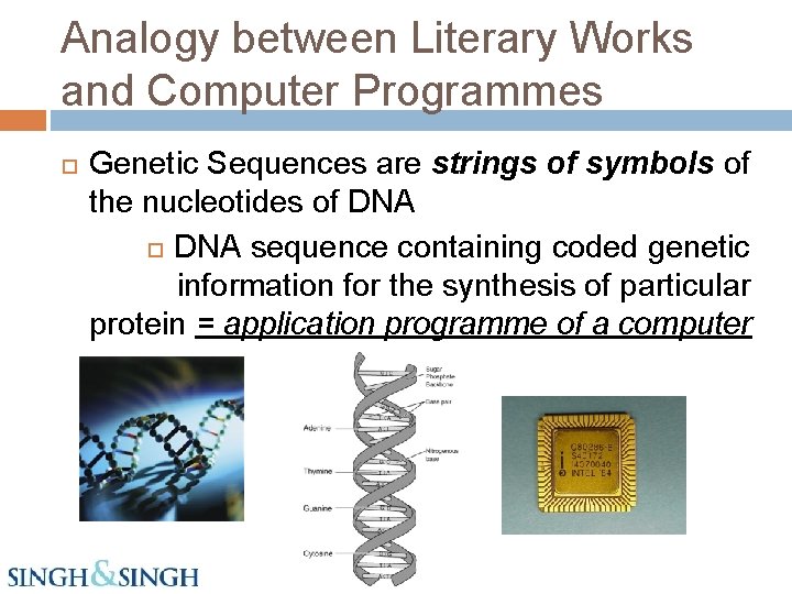 Analogy between Literary Works and Computer Programmes Genetic Sequences are strings of symbols of
