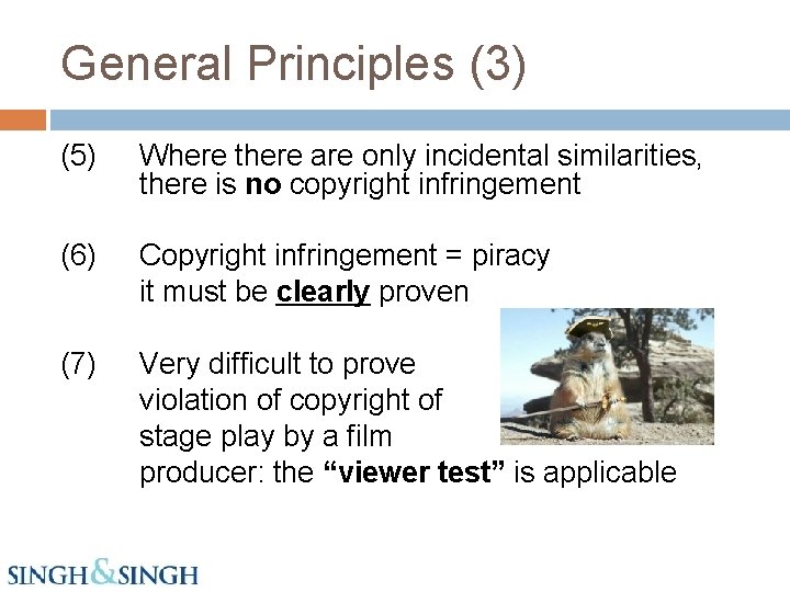 General Principles (3) (5) Where there are only incidental similarities, there is no copyright