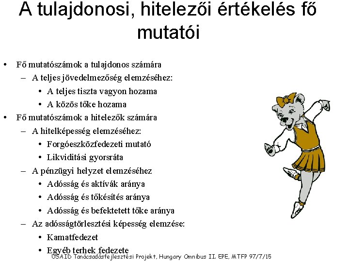 A tulajdonosi, hitelezői értékelés fő mutatói • • Fő mutatószámok a tulajdonos számára –