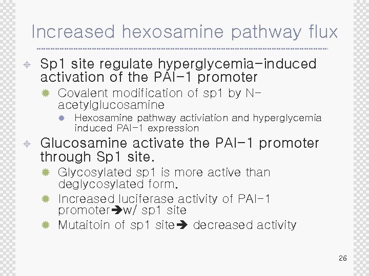 Increased hexosamine pathway flux ± Sp 1 site regulate hyperglycemia-induced activation of the PAI-1