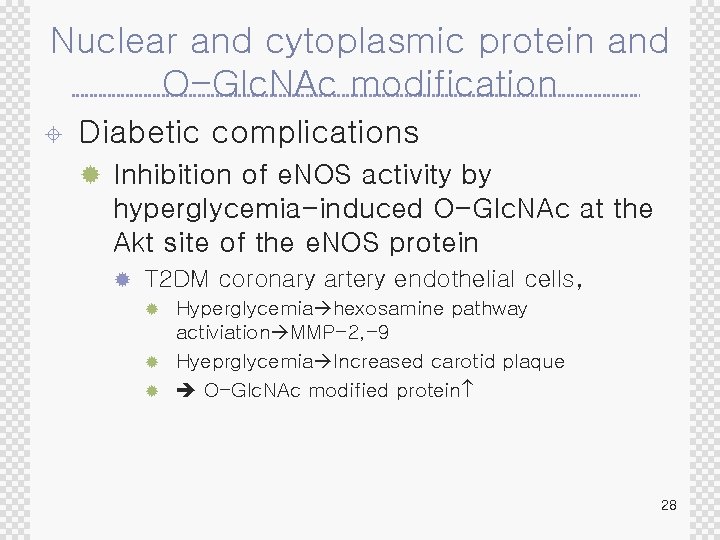 Nuclear and cytoplasmic protein and O-Glc. NAc modification ± Diabetic complications ® Inhibition of