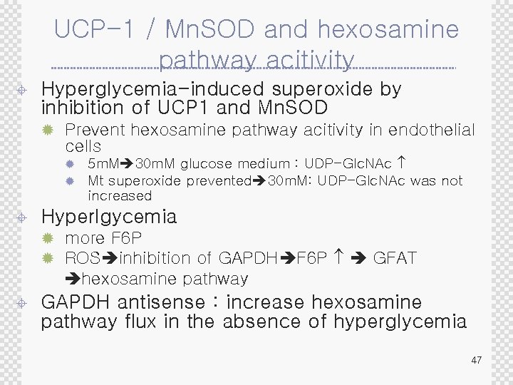 UCP-1 / Mn. SOD and hexosamine pathway acitivity ± Hyperglycemia-induced superoxide by inhibition of