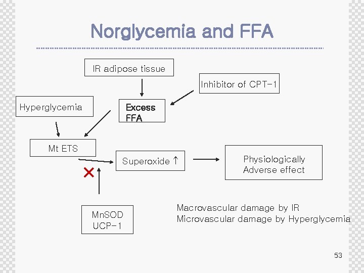 Norglycemia and FFA IR adipose tissue Inhibitor of CPT-1 Hyperglycemia Excess FFA Mt ETS
