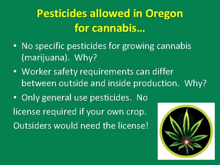 Pesticides allowed in Oregon for cannabis… • No specific pesticides for growing cannabis (marijuana).