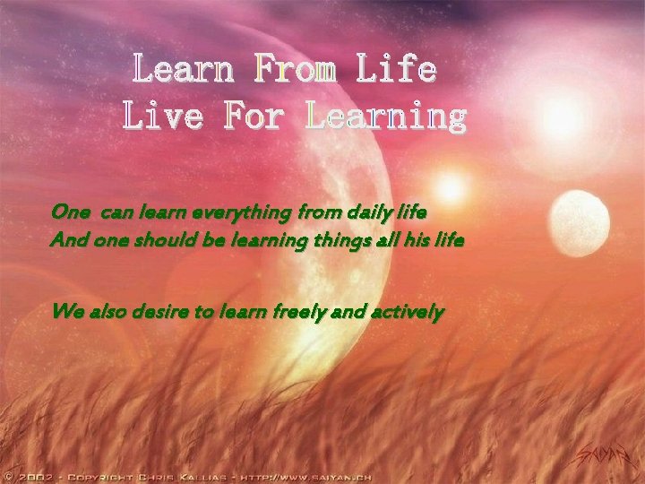 One can learn everything from daily life And one should be learning things all One can learn everything from daily life And one should be learning things all
