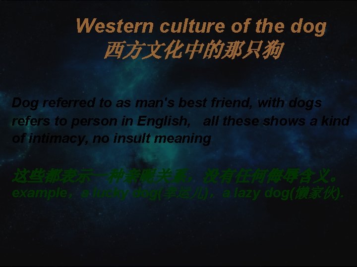 Western culture of the dog 西方文化中的那只狗 Dog referred to as man's best friend, with Western culture of the dog 西方文化中的那只狗 Dog referred to as man's best friend, with