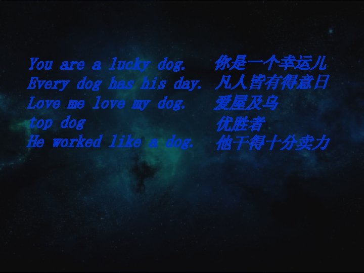 You are a lucky dog. Every dog has his day. Love me love my You are a lucky dog. Every dog has his day. Love me love my