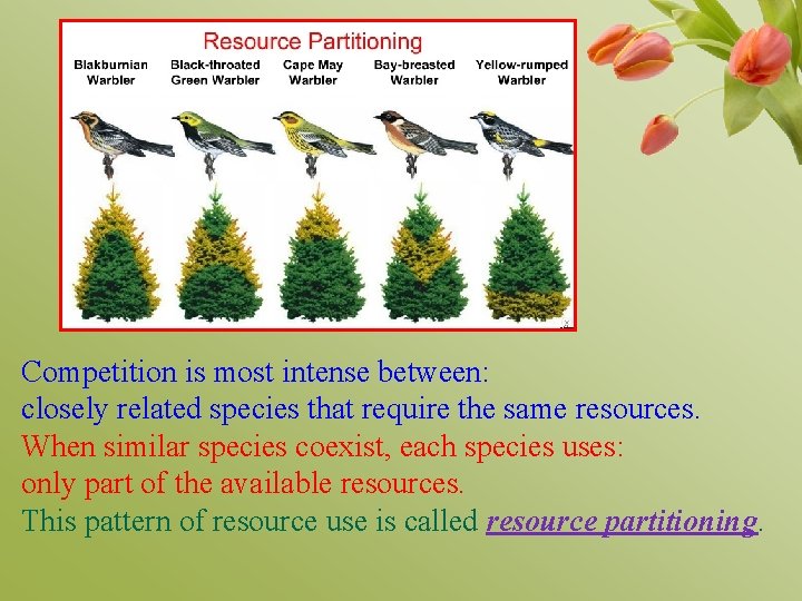 Competition is most intense between: closely related species that require the same resources. When