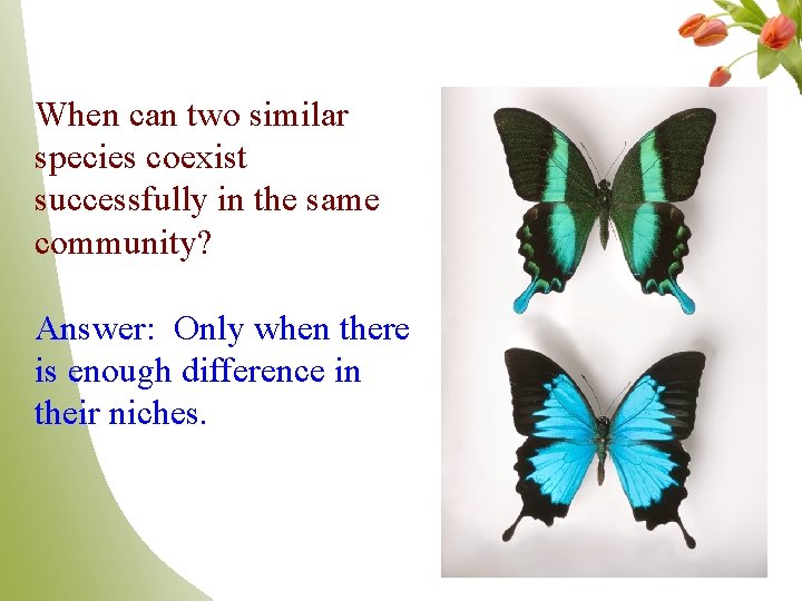 When can two similar species coexist successfully in the same community? Answer: Only when