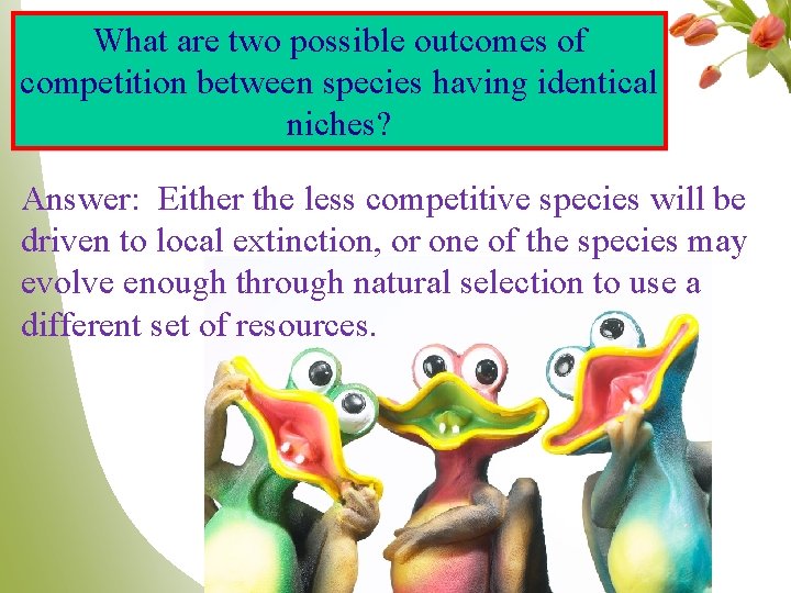 What are two possible outcomes of competition between species having identical niches? Answer: Either