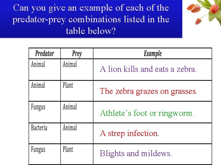 Can you give an example of each of the predator-prey combinations listed in the