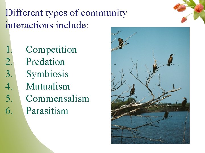 Different types of community interactions include: 1. 2. 3. 4. 5. 6. Competition Predation